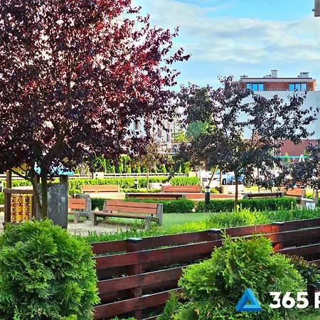 365pam - Safari - Garaz W Cenie * Колобжег